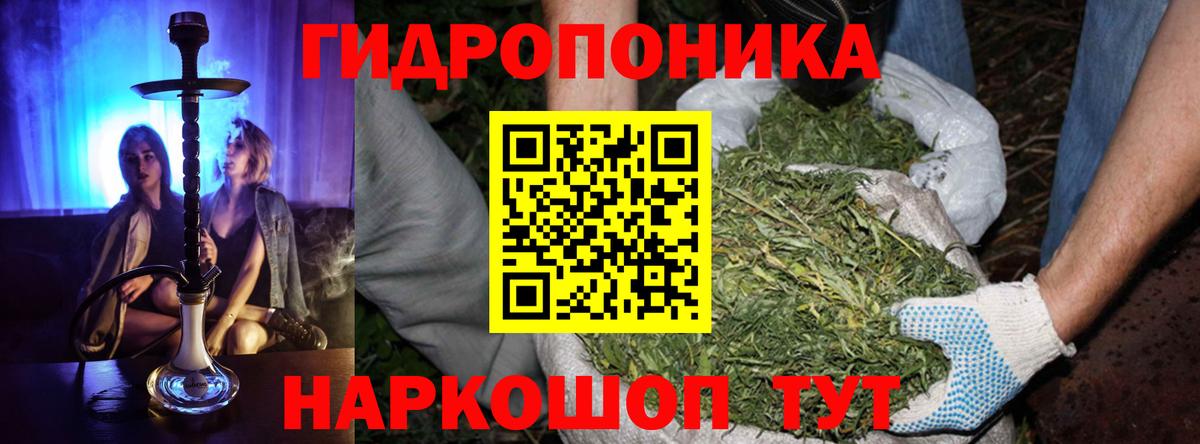 Канабис сатива  Канабис Bruce Banner  Вход с VPN  Марихуана план  Марихуана ГИДРОПОН  Нарткала 
